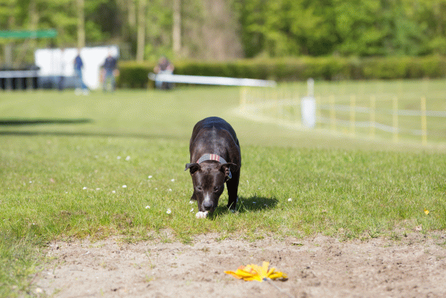 3Y3A7000 26799898495 O