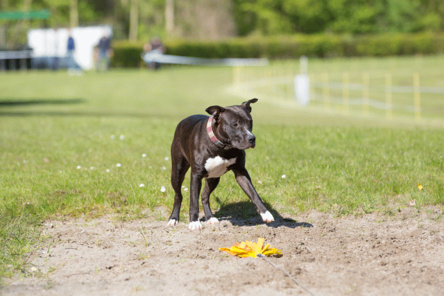 3Y3A7001 26799832375 O