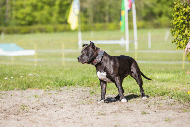 3Y3A7007 26799897925 O