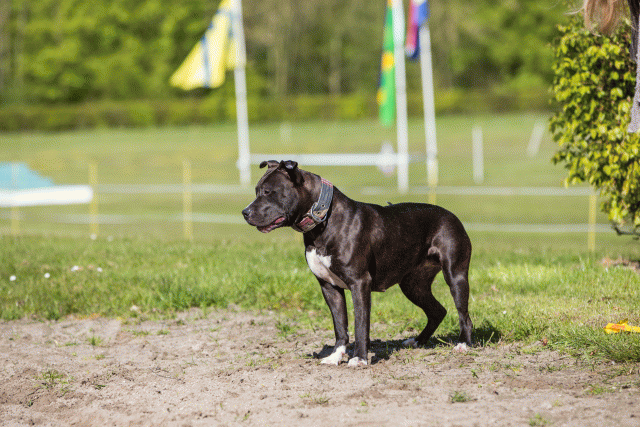 3Y3A7008 26733231511 O