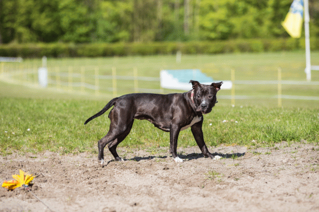 3Y3A7011 26733229991 O