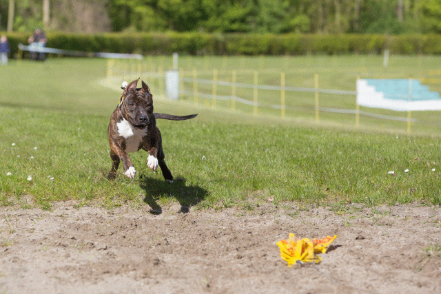 3Y3A7014 26195043964 O