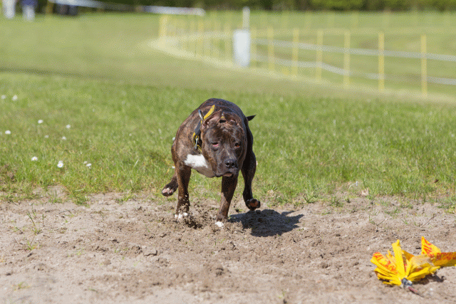 3Y3A7015 26194974274 O