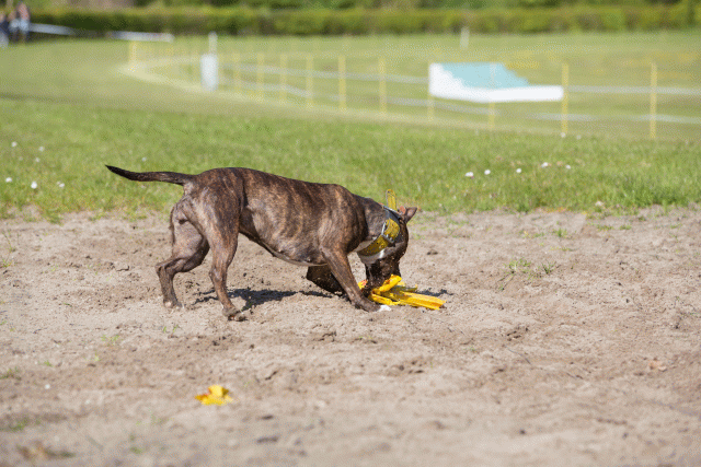 3Y3A7018 26527958830 O