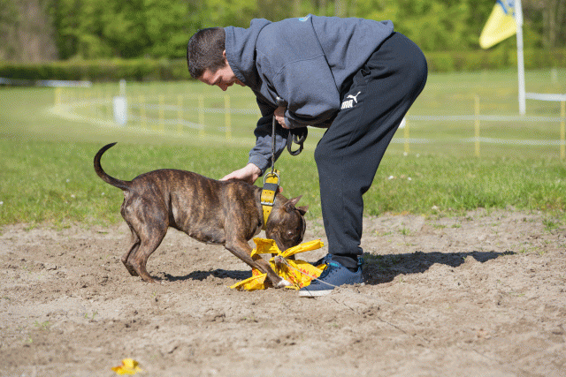 3Y3A7022 26733226291 O