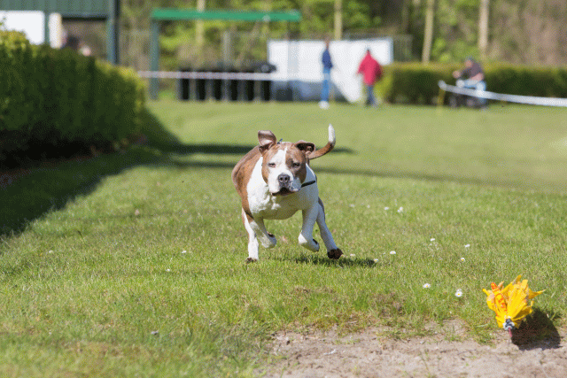 3Y3A7025 26799894615 O