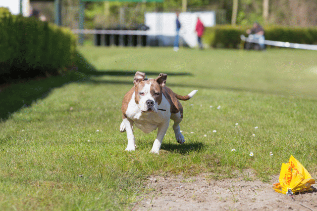 3Y3A7026 26527956750 O