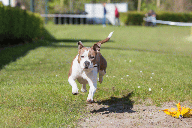 3Y3A7027 26799831835 O