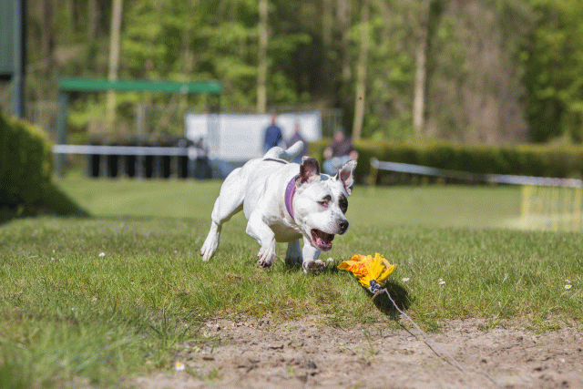 3Y3A7049 26195036514 O