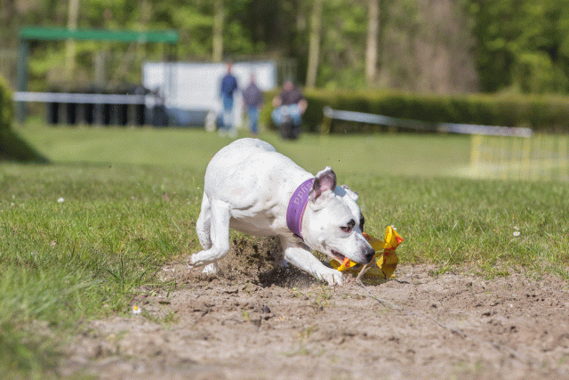 3Y3A7050 26196369453 O