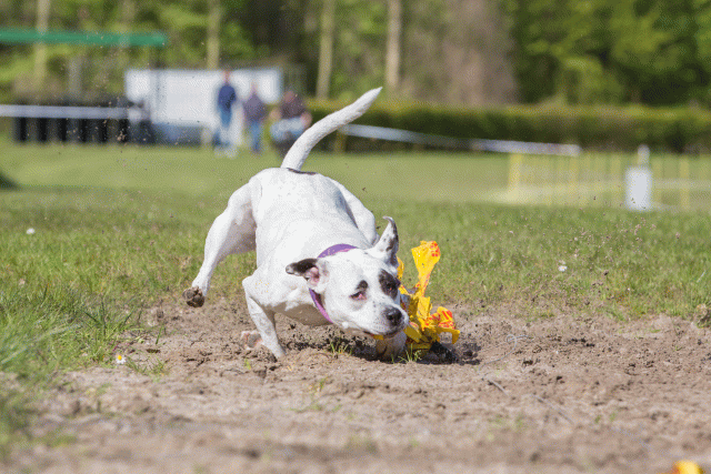 3Y3A7051 26733237841 O