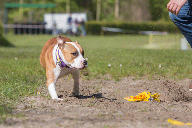 3Y3A7065 26733216791 O