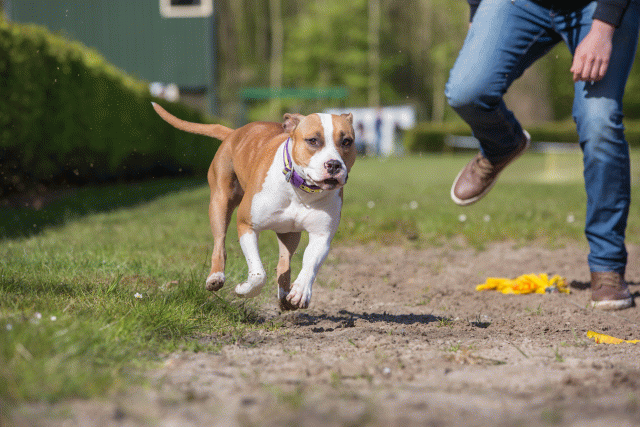 3Y3A7068 26195032084 O