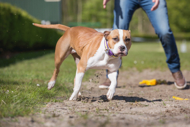 3Y3A7070 26196360843 O