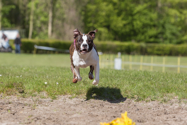 3Y3A7073 26527943640 O