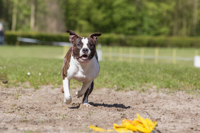 3Y3A7075 26733214271 O