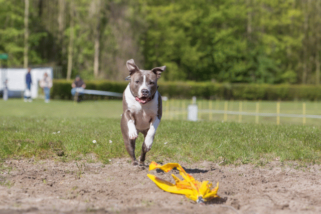 3Y3A7082 26195027664 O