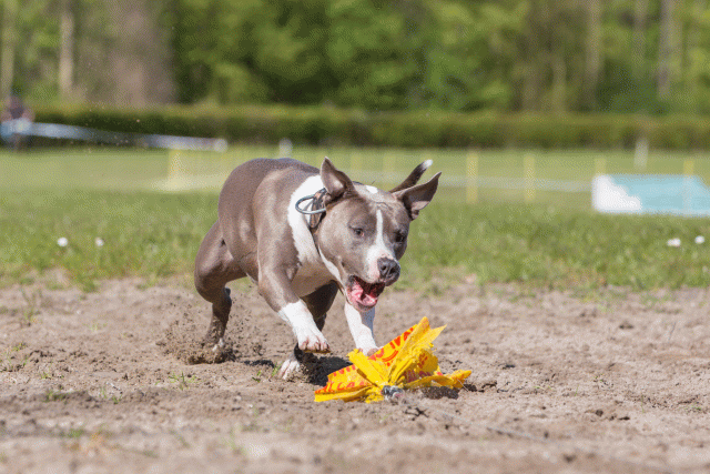 3Y3A7084 26196355283 O