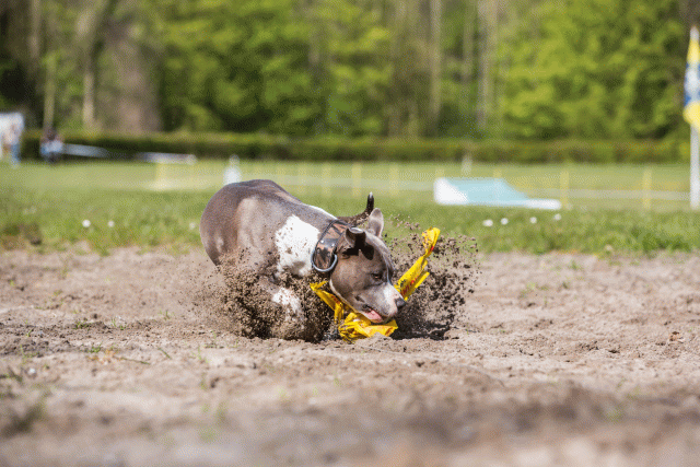 3Y3A7085 26195026804 O