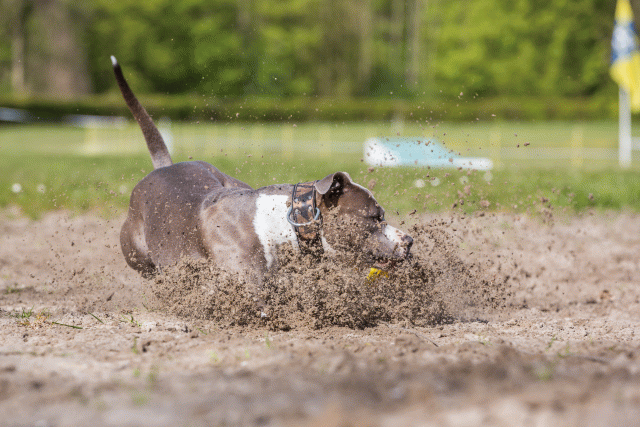 3Y3A7086 26527939190 O