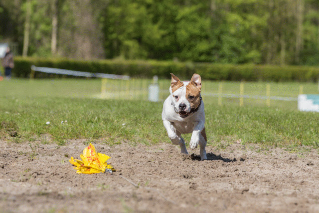 3Y3A7090 26799873995 O