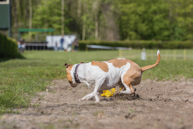 3Y3A7094 26799872935 O