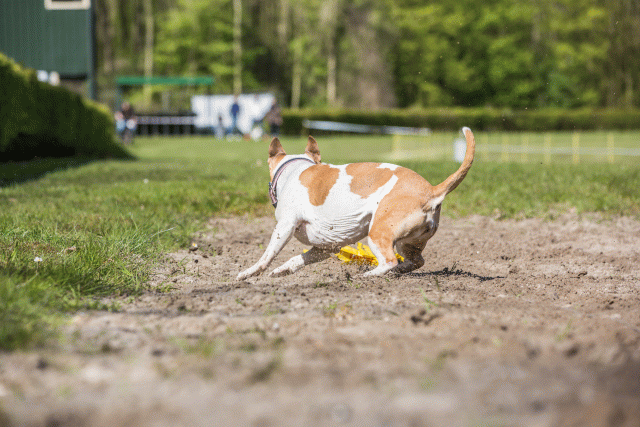 3Y3A7095 26196351253 O