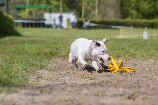 3Y3A7099 26775554846 O