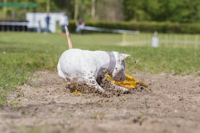 3Y3A7100 26196349973 O