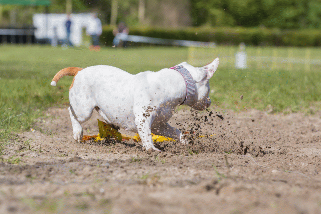 3Y3A7101 26775554556 O