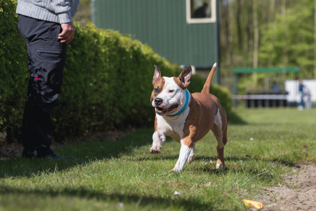 3Y3A7106 26799868985 O