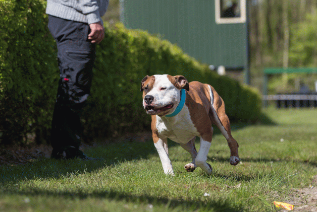 3Y3A7107 26799868475 O