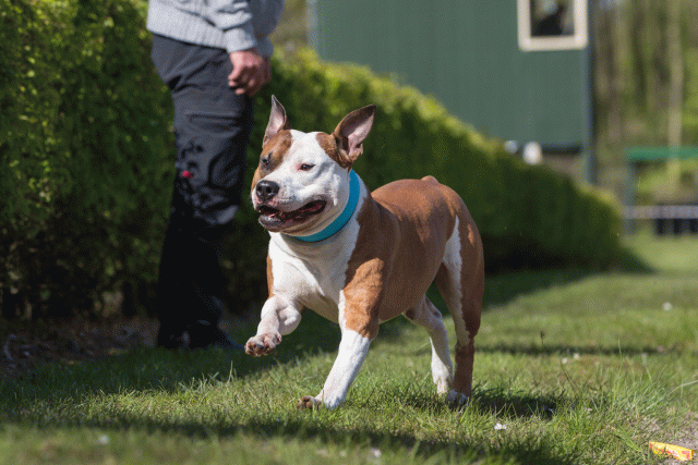 3Y3A7108 26775519916 O