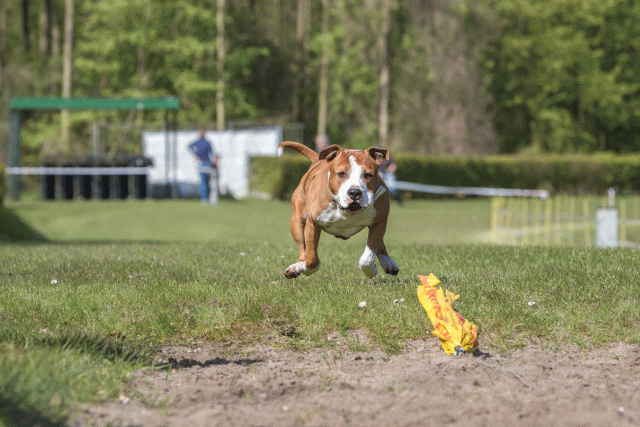 3Y3A7110 26527933920 O