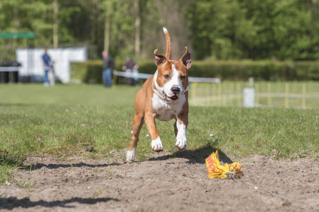 3Y3A7112 26527933270 O