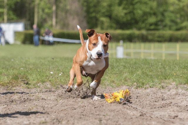 3Y3A7113 26799900475 O