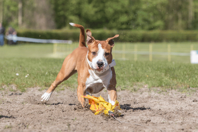 3Y3A7114 26799865915 O