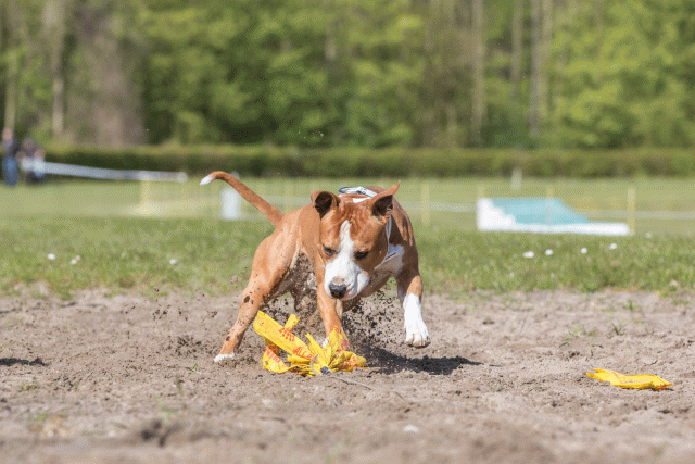 3Y3A7115 26799865545 O