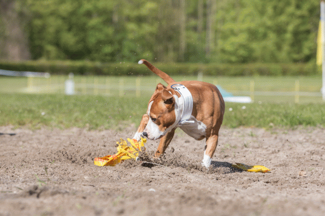 3Y3A7116 26527932040 O