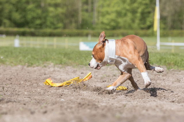 3Y3A7117 26799864255 O