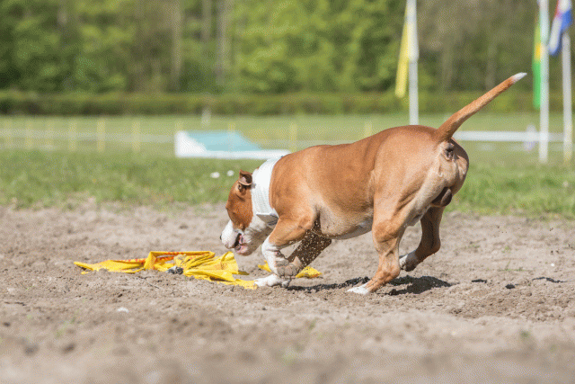 3Y3A7120 26775549196 O