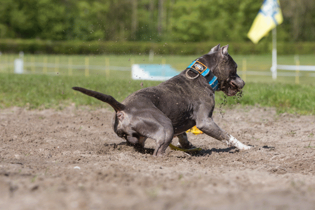 3Y3A7129 26196299913 O