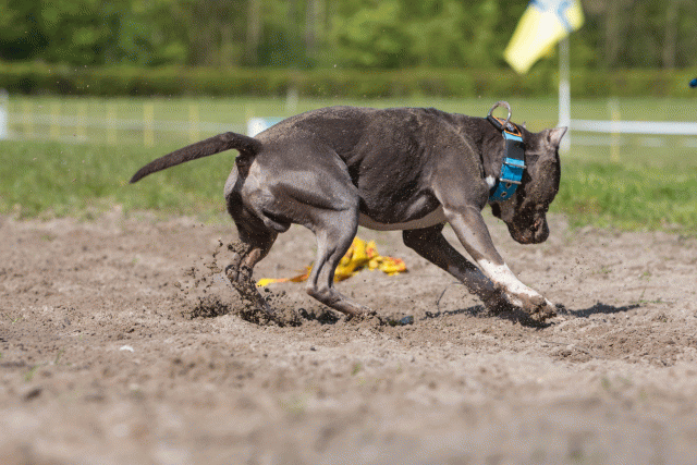 3Y3A7130 26775548656 O