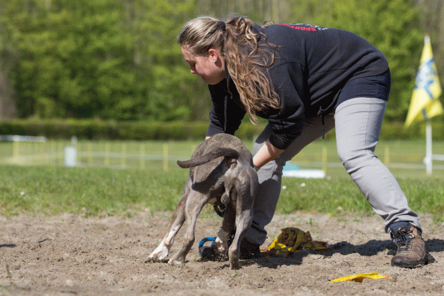 3Y3A7131 26196335623 O