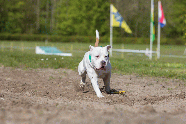 3Y3A7137 26527922090 O