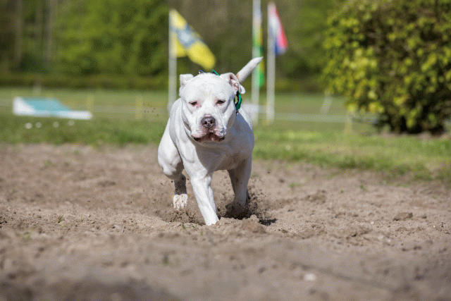 3Y3A7139 26196342803 O