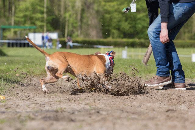 3Y3A7146 26799851865 O