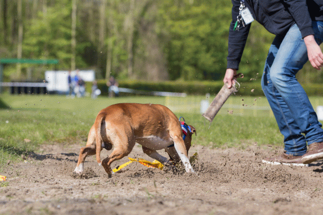 3Y3A7147 26706923532 O