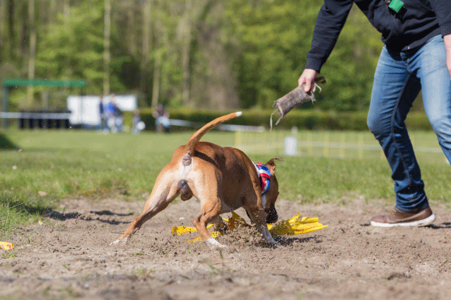 3Y3A7148 26799862715 O