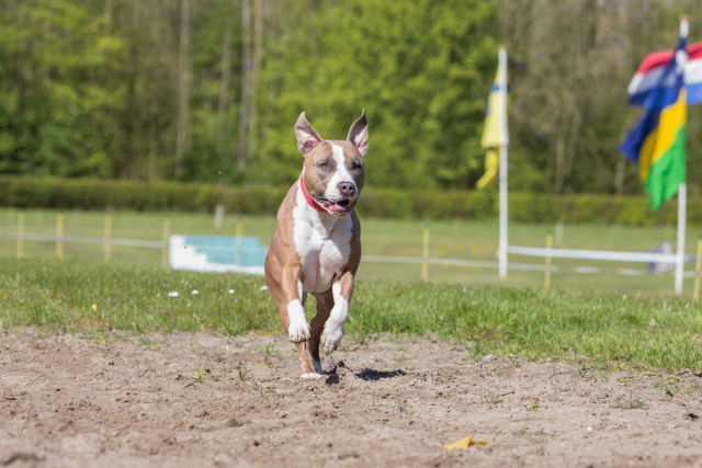 3Y3A7158 26775551836 O